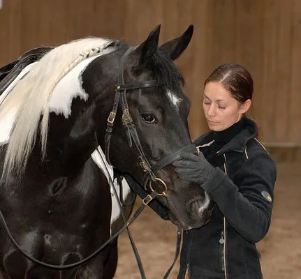 Veronika Bühn — klassische Dressur in Leichtigkeit