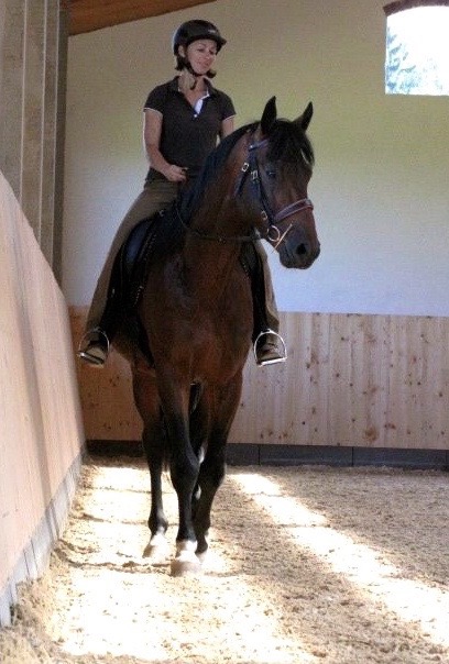 Veronika Bühn beim Reiten