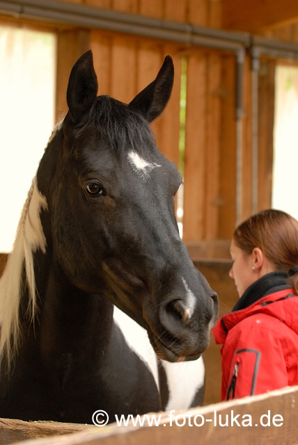 Veronika kümmert sich um Gu-Ye-Quo-Ni