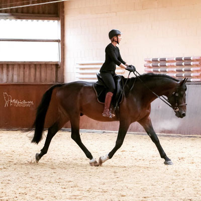 Mobiler Unterricht mit Veronika Bühn