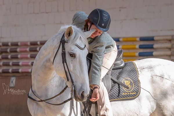 Online-Begleitung mit Veronika Bühn — klassische Dressur per Video